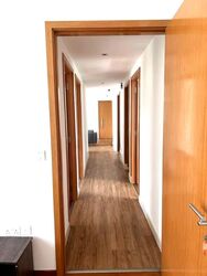 Nova 88 (D12), Apartment #571841181